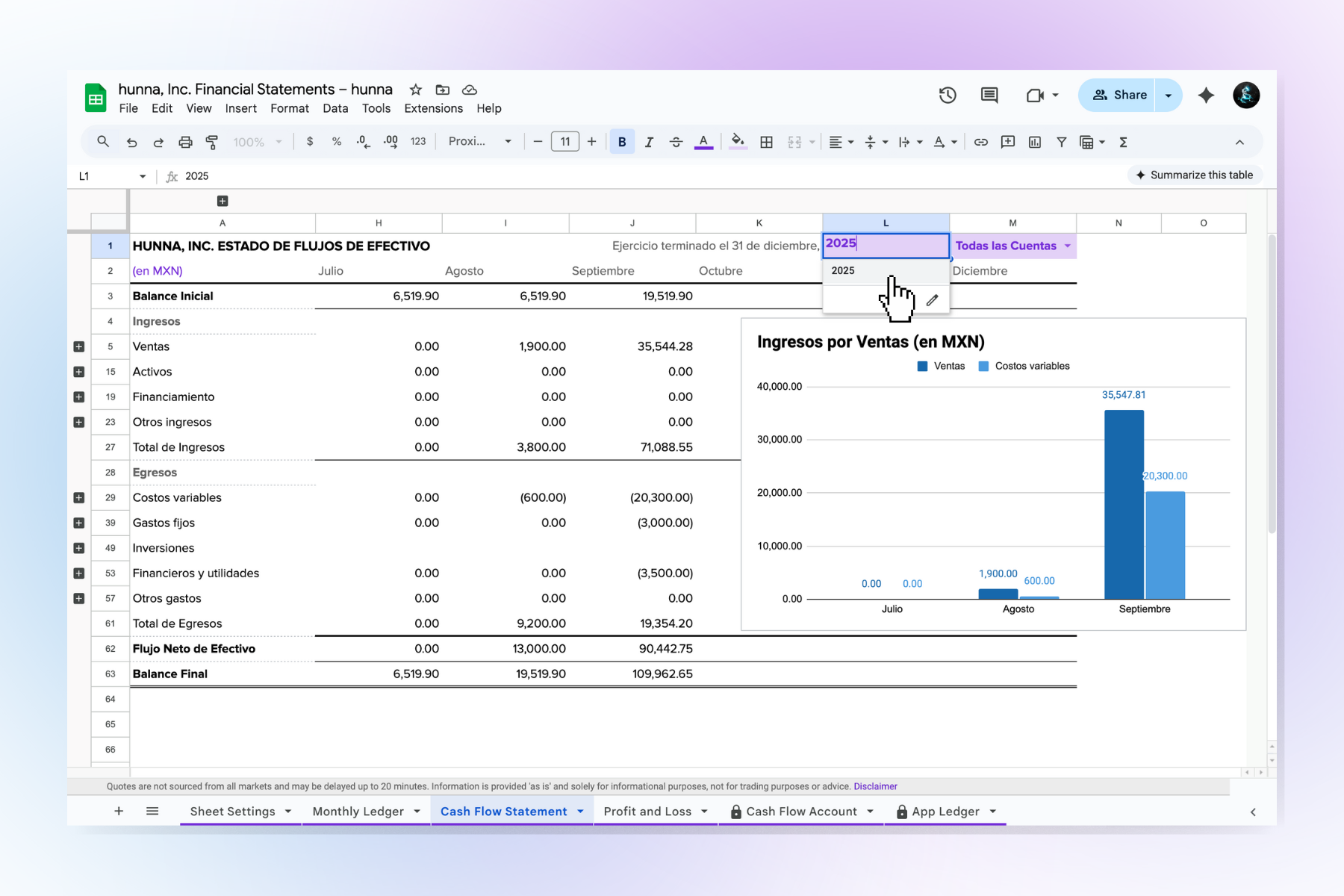 Abre el Cash Flow Statement, y selecciona cuenta bancaria y año